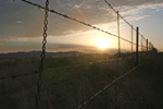  Barbed Wire Sunrise