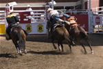  Saddle Bronco Escape