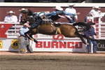  Saddle Bronco Flying