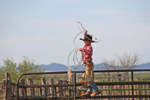  Cowboy in Training