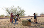  Roping practice