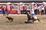  Steer Roping 3