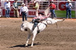  Bucking Bronco 17